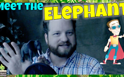A5 – Meet the Elephant – Teaches Us About Handling Overwhelm