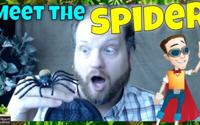 A7 – Meet the Spider – She’s not Scary!