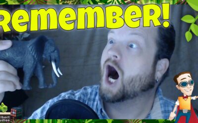A15 – Elephant Reminders! Uh… Remembers… ?