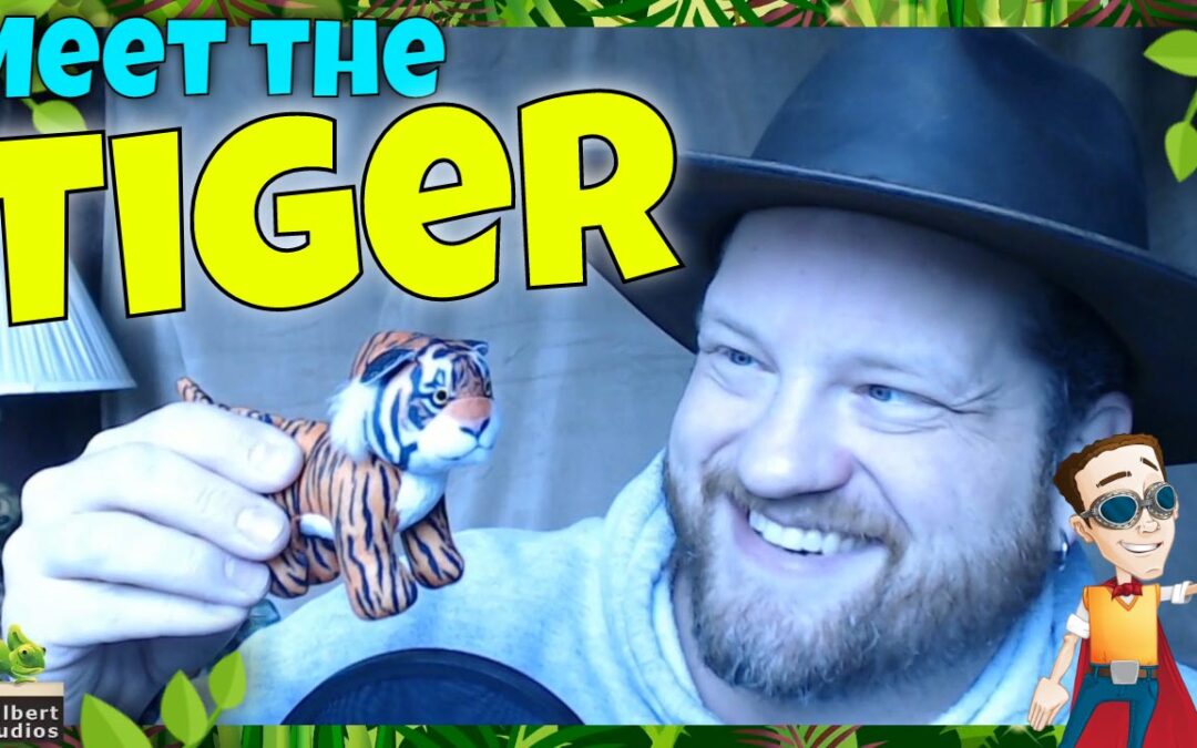 A23 – Meet the Tiger – You be the Tiger!