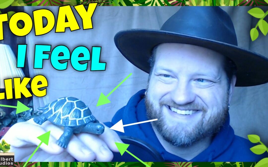 A25 – The Tortoise Returns – It’s how I feel today!