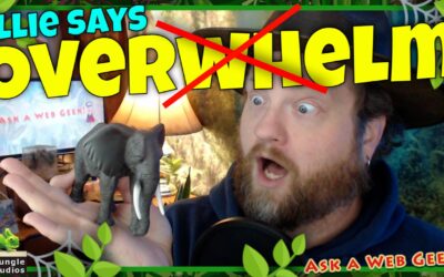 A43 – Ellie Says, Avoid Overwhelm with THIS ONE TRICK!