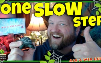 A44 – One SLOW Small Step toward Progress