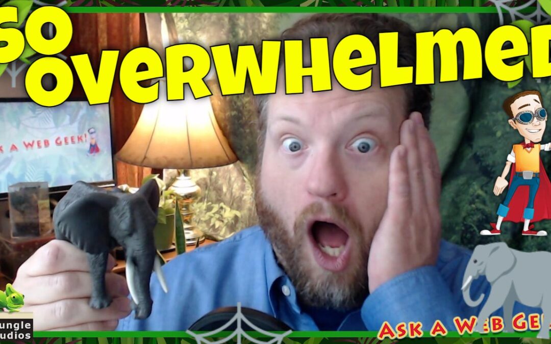 A45 – I’m SO Overwhelmed!  …But in a good way!