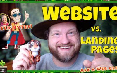 GB003-01 – One Main Website vs. Multiple Landing Pages