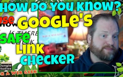 GB044-01 – Use Google’s Safe Link Checker to Check that Website Address!